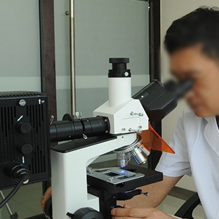 文書/筆跡/印章鑒定 文書/筆跡/印章鑒定