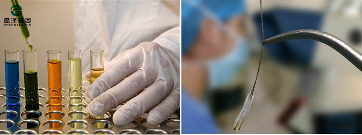 偷偷撿了一把頭發可以送去做親子鑒定嗎?3 偷偷撿了一把頭發可以送去做親子鑒定嗎?3