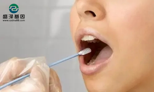 偷偷撿了一把頭發可以送去做親子鑒定嗎?2 偷偷撿了一把頭發可以送去做親子鑒定嗎?2