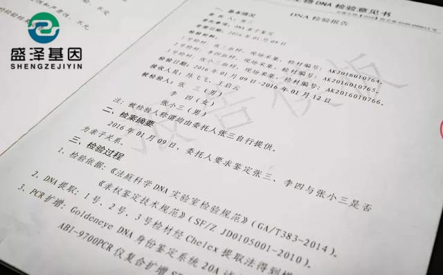 DNA親子鑒定報告究竟長啥樣？怎么看？