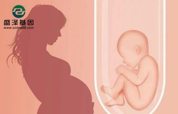 醫學怪病奇美拉現象:親自生未必是親生?你身體還住著另一個人? 醫學怪病奇美拉現象:親自生未必是親生?你身體還住著另一個人?