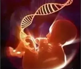 無創產前基因檢測（NIPT）到底有什么作用？