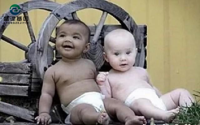 雙胞胎做親子鑒定結(jié)果竟是同母異父？親子鑒定師：罕見！