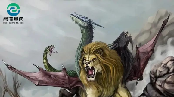 醫學怪病奇美拉現象:親自生未必是親生?你身體還住著另一個人? 醫學怪病奇美拉現象:親自生未必是親生?你身體還住著另一個人?