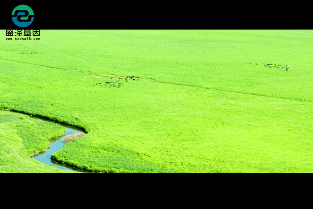 親子鑒定真實故事：4歲兒子非親生，他戴綠帽子到岳父家當面對質(zhì)