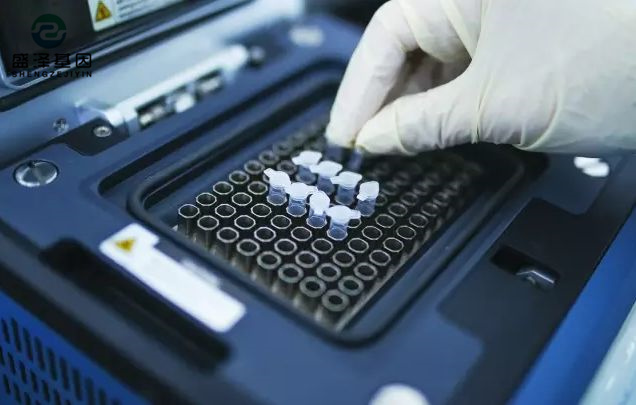 中山司法親子鑒定醫(yī)院咨詢:醫(yī)院做親子鑒定掛什么科? 中山司法親子鑒定醫(yī)院咨詢:醫(yī)院做親子鑒定掛什么科?