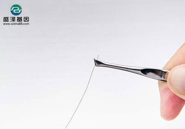 偷拿女兒頭發做親子鑒定，結果并非親生，他一怒將前妻告上法庭！