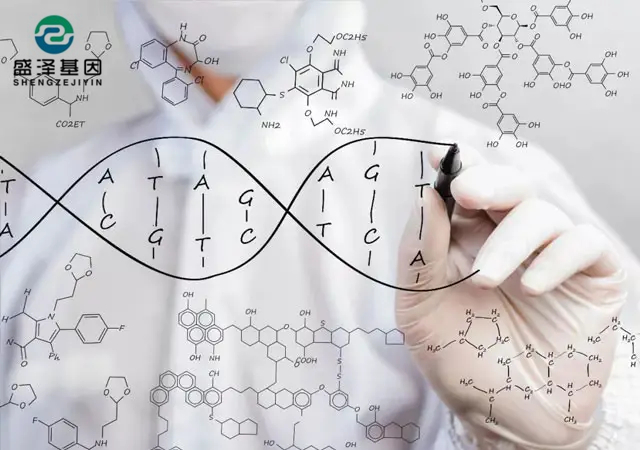 親子鑒定位點檢測結果是如何得出來的？（DNA提取物、基因擴增儀）