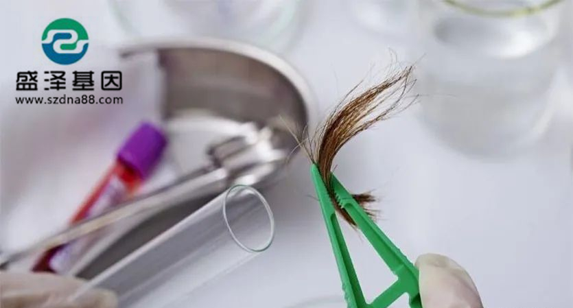 剛出生的小孩能用頭發做dna親子鑒定檢材嗎？準確率高嗎？