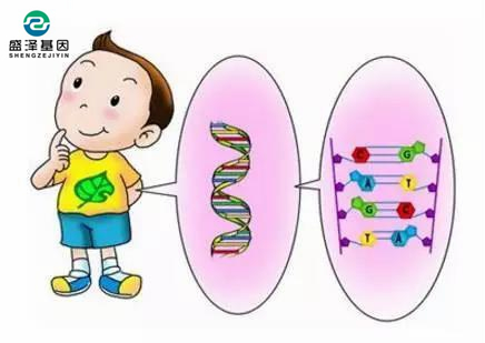 親子鑒定口腔拭子樣本結(jié)果不準(zhǔn)確的原因是什么？