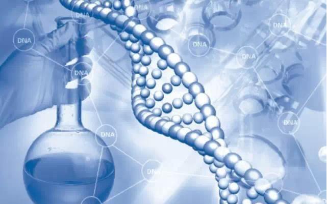 司法親子鑒定怎么做？無侵入性無創胎兒親子鑒定怎么做？