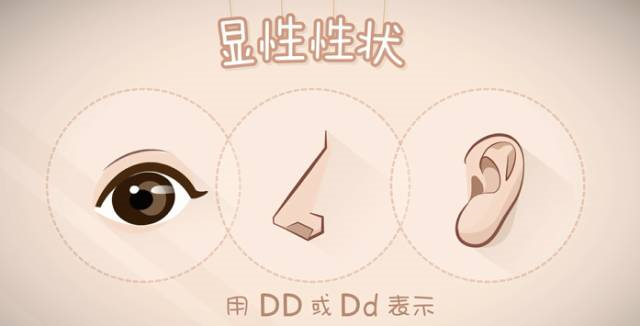 親子鑒定到底是個啥?怎么個鑒定法? 親子鑒定到底是個啥?怎么個鑒定法?