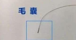 隱私親子鑒定自己一人能完成樣本采集嗎？