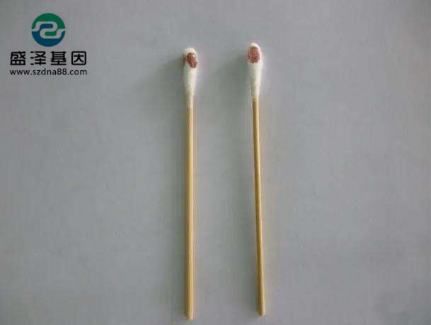 棉簽上的血其實就是血痕樣本，親子鑒定一般的載體的選擇有采血卡