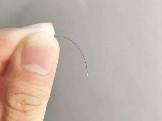 【科普】毛發親子鑒定樣本為什么一定要帶根部毛囊? 【科普】毛發親子鑒定樣本為什么一定要帶根部毛囊?