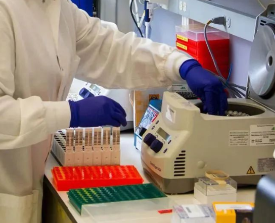 人員如何快速采樣？鑒定機(jī)構(gòu)對收到的親子鑒定樣本負(fù)責(zé)