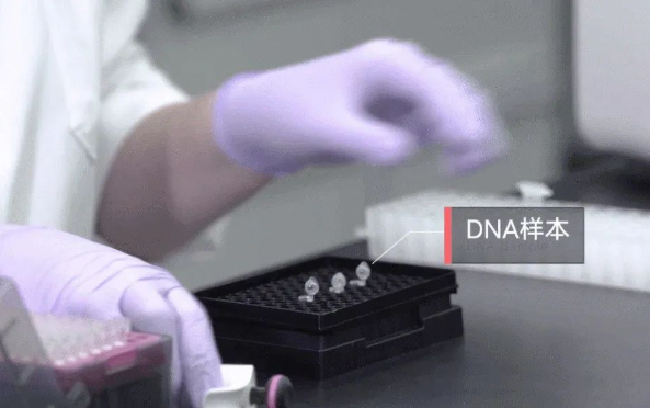 委托人懷疑孩子不是自己的怎么找隱私親子鑒定機構做親子鑒定? 委托人懷疑孩子不是自己的怎么找隱私親子鑒定機構做親子鑒定?