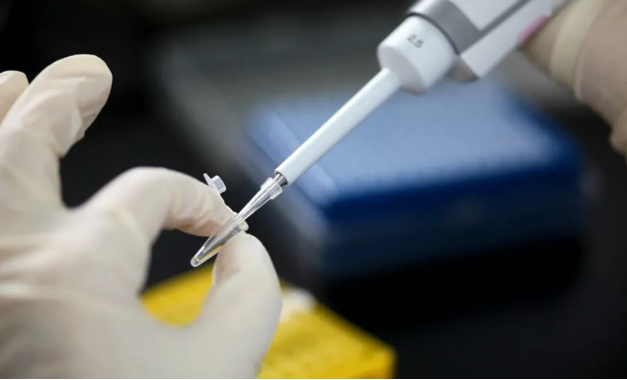 如何推算懷了誰的孩子?無創胎兒親子鑒定準確率可靠嗎? 如何推算懷了誰的孩子?無創胎兒親子鑒定準確率可靠嗎?