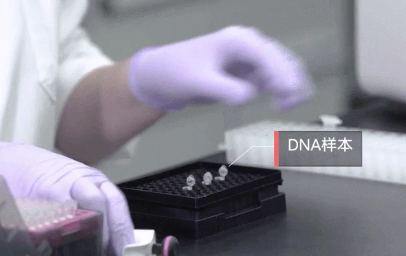 郵寄親子鑒定樣本準不準確？鑒定結果會不會出錯？