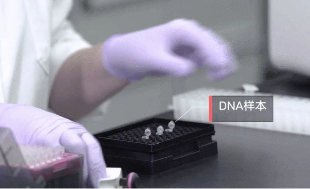 孩子不像丈夫怎么采集親子鑒定樣本確認(rèn)關(guān)系?需要幾個(gè)工作日? 孩子不像丈夫怎么采集親子鑒定樣本確認(rèn)關(guān)系?需要幾個(gè)工作日?