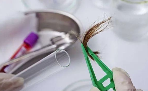 煙頭、血痕、毛發，做親子鑒定用哪些樣本最為準確？