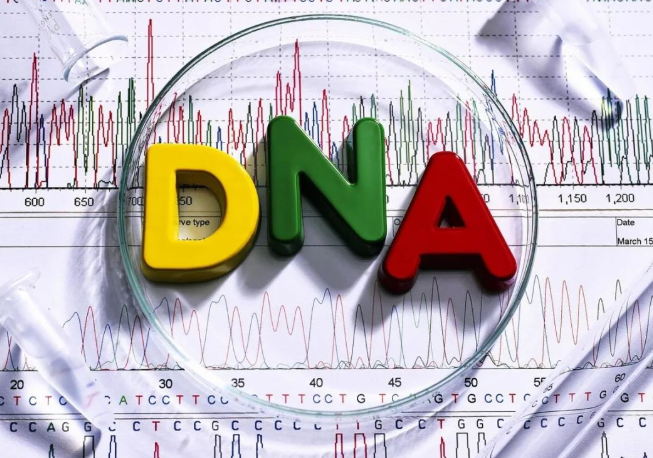 染色體遺傳:親子鑒定就是看血型么? 染色體遺傳:親子鑒定就是看血型么?