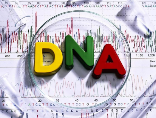 法庭血緣親子司法鑒定作用廣泛，或許你也用的上