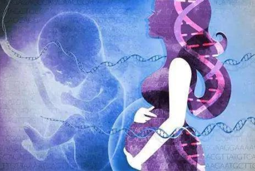 孕婦懷孕幾個月可以做dna親子鑒定?對胎兒有傷害嗎? 孕婦懷孕幾個月可以做dna親子鑒定?對胎兒有傷害嗎?