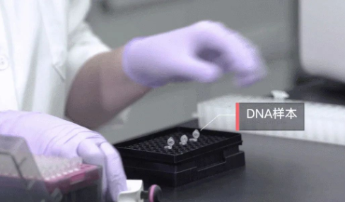 做親子鑒定需要申請(qǐng)嗎？如何親子鑒定？