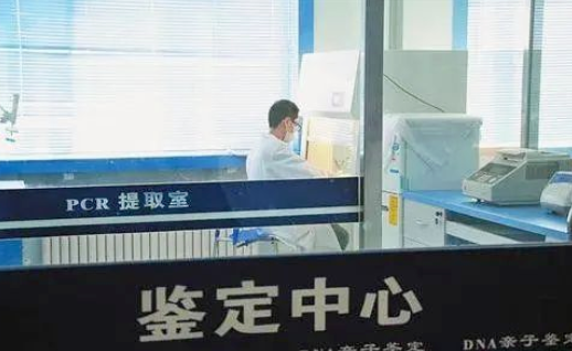 親子鑒定證明非婚生子法院會判決離婚嗎？可以要求過錯方賠償嗎？