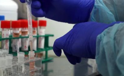 探秘個人親子鑒定和司法親子鑒定，什么是兩聯體、三聯體？