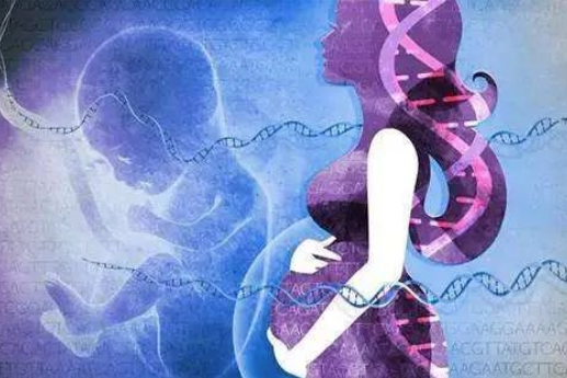 為什么孕婦可以通過(guò)靜脈血親子鑒定胎兒？