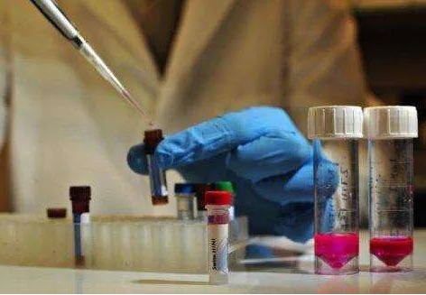 隱私親子鑒定,讓你和妻子的感情“止于”懷疑! 隱私親子鑒定,讓你和妻子的感情“止于”懷疑!