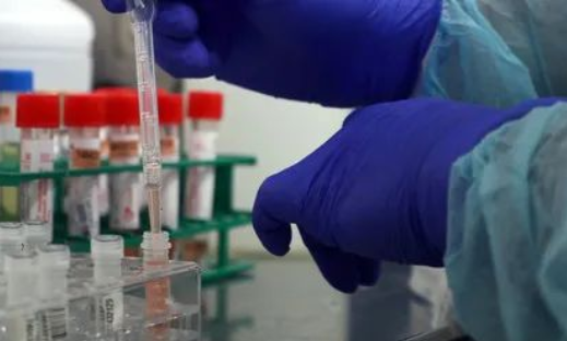 除了血液人的唾液能做親子鑒定嗎？能親子鑒定人的遺傳病史嗎？