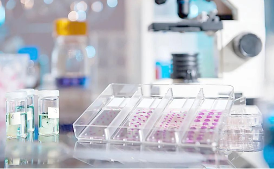 想帶小孩去做親子鑒定該如何取證呢?用紗布或棉簽等采集樣本 想帶小孩去做親子鑒定該如何取證呢?用紗布或棉簽等采集樣本