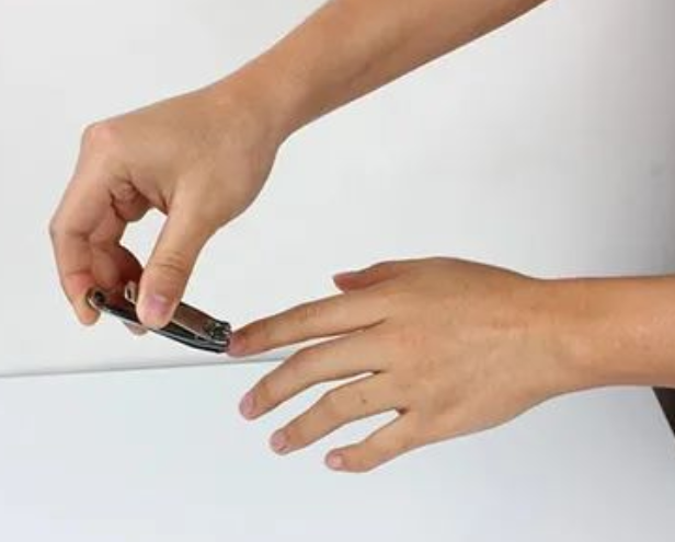 采集被鑒定人指甲做親子鑒定檢材大概需要多少錢?