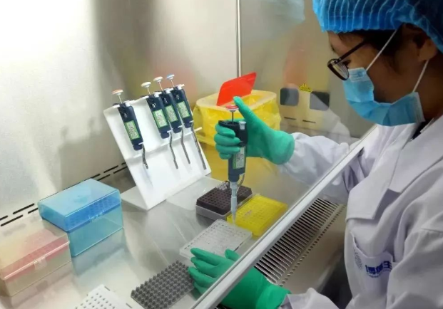 剪下來(lái)的頭發(fā)沒有毛囊可以做親子鑒定樣本嗎？