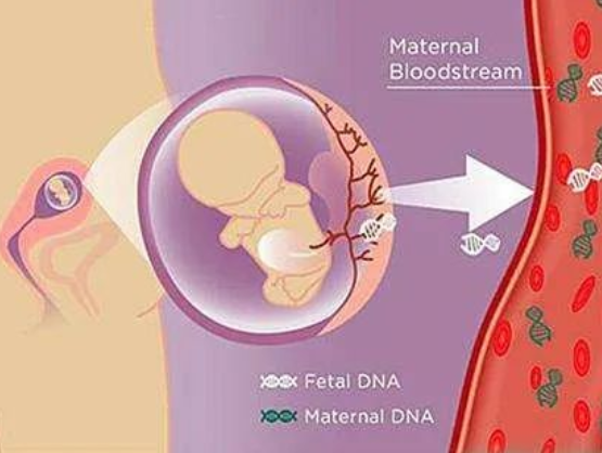 孕媽沈女士求助:懷孕胎兒親子鑒定準確嗎? 孕媽沈女士求助:懷孕胎兒親子鑒定準確嗎?