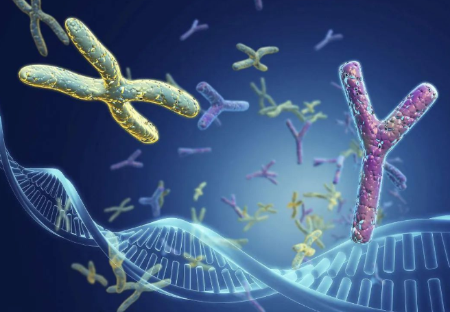 兄妹之間可以做親子鑒定嗎？兄弟之間可以做親緣關(guān)系鑒定嗎？