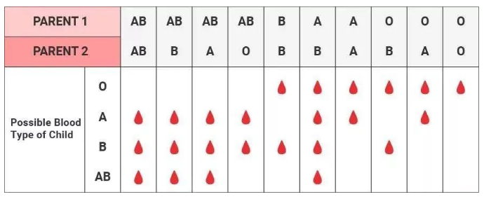對比血清分類學測試和白細胞抗原測試,親子(緣)鑒定靠不靠譜? 對比血清分類學測試和白細胞抗原測試,親子(緣)鑒定靠不靠譜?