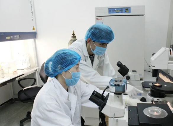 親子鑒定可以驗證妻子忠貞度，也可以給孩子上戶口