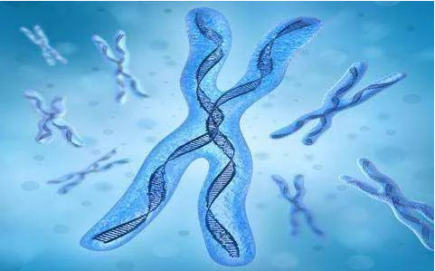 中山司法親子鑒定中心:鑒定親子關系哪種方法是最有效的? 中山司法親子鑒定中心:鑒定親子關系哪種方法是最有效的?