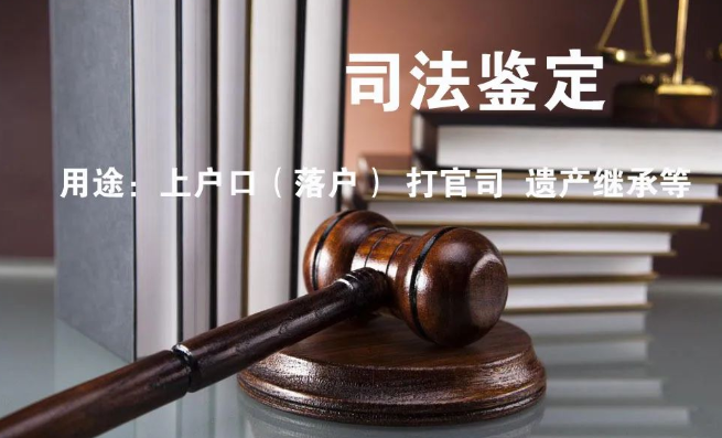 隱私親子鑒定與司法親子鑒定，到底怎么選？