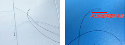 個人隱私親子鑒定樣本采集辦理需要哪些手續？