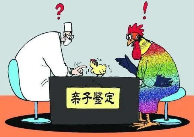 親子鑒定人數(shù)逐年上升，透過(guò)現(xiàn)象看本質(zhì)：親子鑒定折射信任危機(jī)