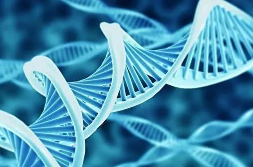 癌癥遺傳基因檢測(cè)