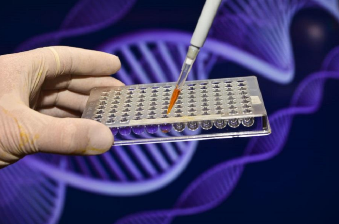 中山司法親子鑒定多少錢-中山盛澤親子鑒定中心