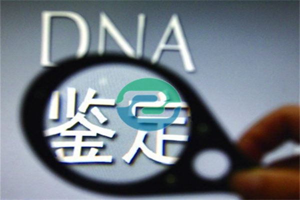 中山親子鑒定是一項高度私密化的檢測服務