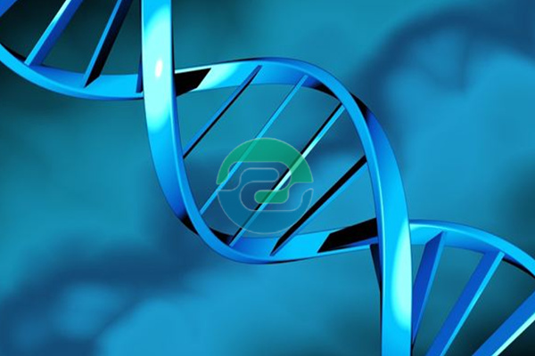 在哪里可以找到一個合適的中山親子鑒定機(jī)構(gòu)？