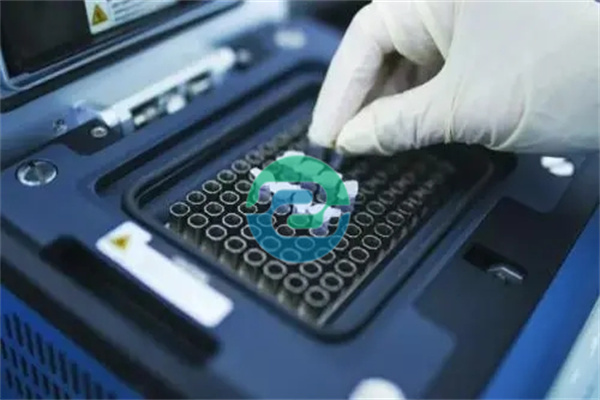 中山親子鑒定報告的關(guān)鍵點